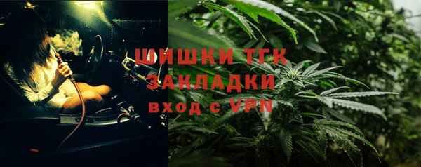 соль ск Алексин