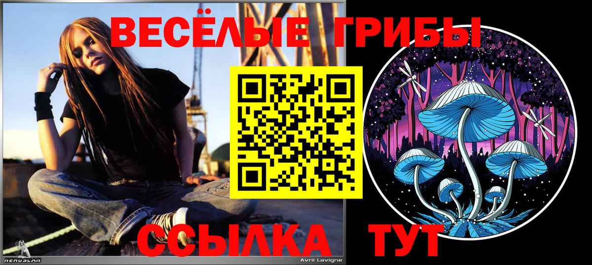 Галлюциногенные грибы Cubensis  Галлюциногенные грибы Magic Shrooms  хочу наркоту  Вход с VPN  Новоуральск 